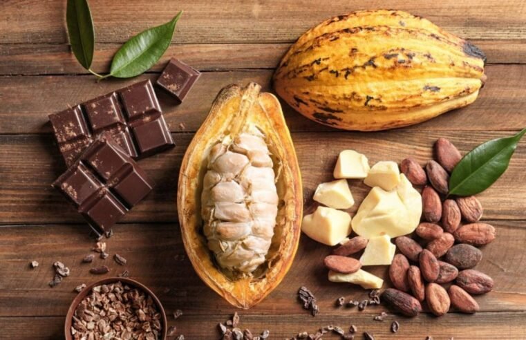 Tabela com novos percentuais mínimos de cacau em chocolates aprovados pelo Senado