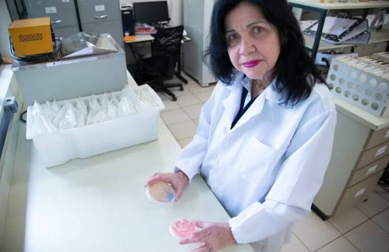 Cientista Mariangela Hungria entra na lista dos mais influentes do mundo