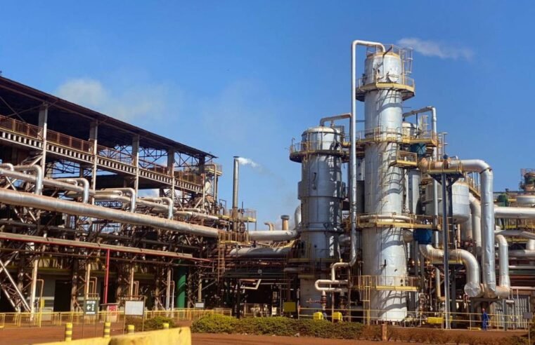 Safra de cana 2026/27: Goiás deve avançar na produção de etanol