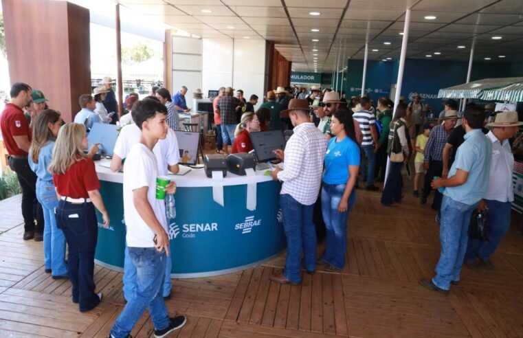 Sebrae fortalece pequenos negócios do agro com presença estratégica na Tecnoshow COMIGO