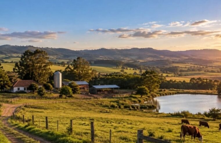Nova lei muda regras do seguro rural e altera proteção ao produtor