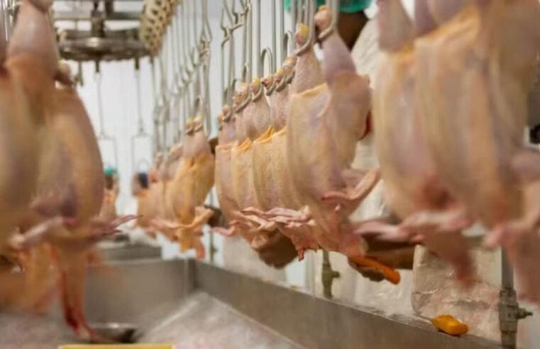 União Europeia considera satisfatórios controles brasileiros para exportação de aves e mel
