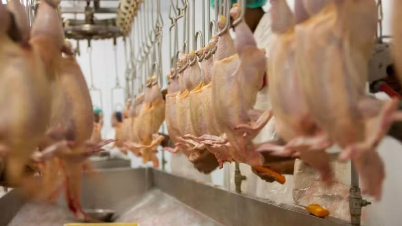 União Europeia considera satisfatórios controles brasileiros para exportação de aves e mel